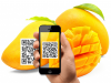 7  T2   511   Hiểu đúng về truy xuất nguồn gốc bằng mã Qr code (1)