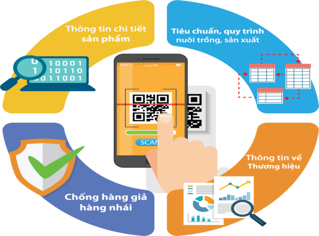 2  T2   552   Tem truy xuất nguồn gốc QR code(1)
