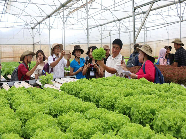 Lợi ích truy xuất nguồn gốc