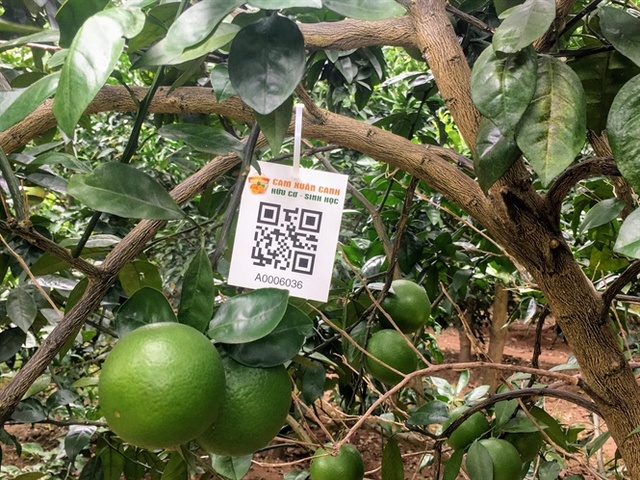 4  T2   620   Phần mềm quản lý ứng dụng truy xuất nguồn gốc xuất xứ hàng hóa ADC QRCode(1)
