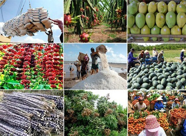 5  T3   674   Phú Thọ Ứng dụng trong hệ thống phần mềm quản lý và theo dõi sản xuất nông sản(1)