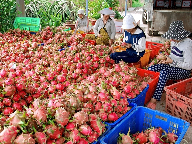 5  T3   761   Ứng dụng truy xuất nguồn gốc được người tiêu dùng sử dụng nhiều nhất(1)