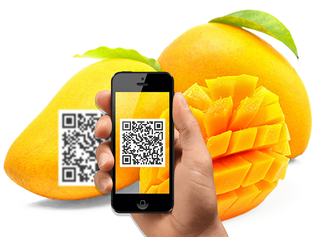 7  T2   511   Hiểu đúng về truy xuất nguồn gốc bằng mã Qr code (1)