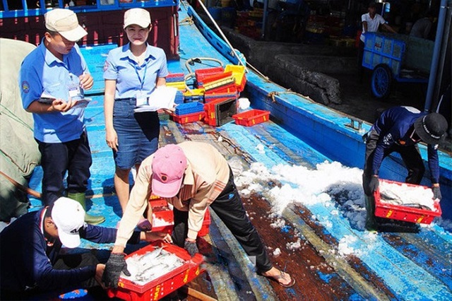 9  T3   617   2021 Việt Nam đẩy mạnh truy xuất nguồn gốc với xuất khẩu thủy sản (1)