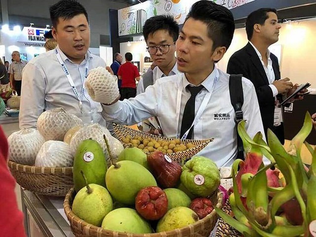 9  T3   687   Truy xuất nguồn gốc, công cụ mở rộng thị trường (1)