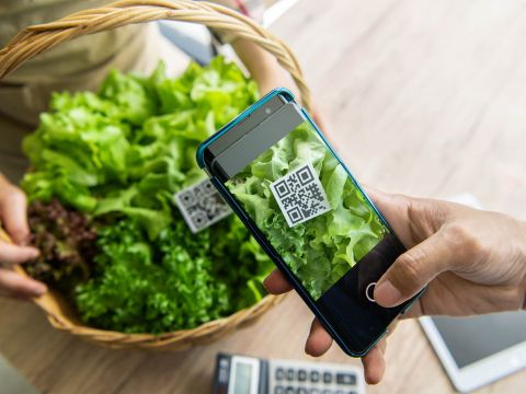 T3   664   NGUYÊN TẮC, HÌNH THỨC VÀ TRÁCH NHIỆM