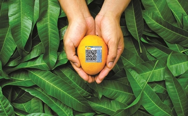 8  T4   725   Blockchain nâng cao hiệu quả truy xuất nguồn gốc nông sản Việt (2)